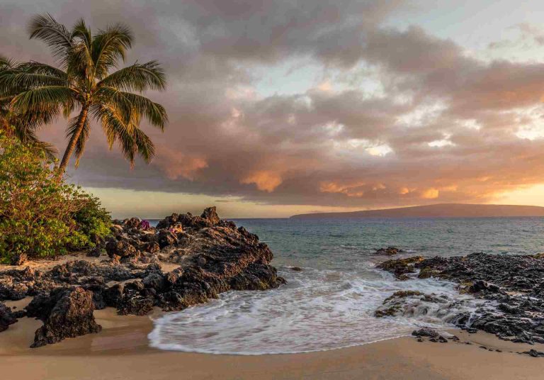 Tips for Family Trips
